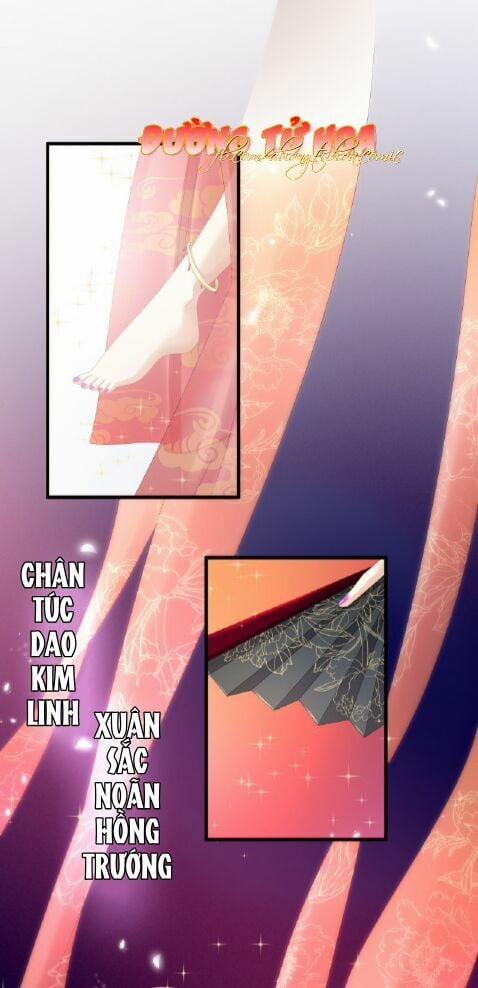 Hậu Cung Của Nữ Đế 41 trang 5