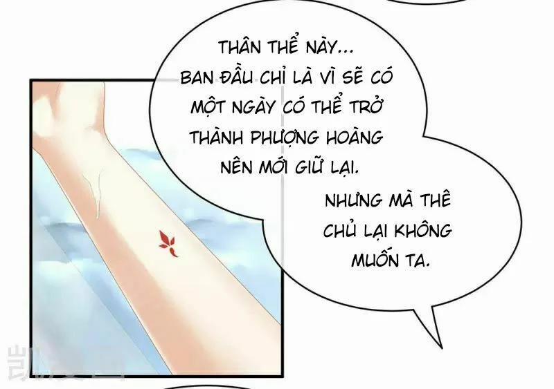 Hậu Cung Của Nữ Đế 60 trang 1