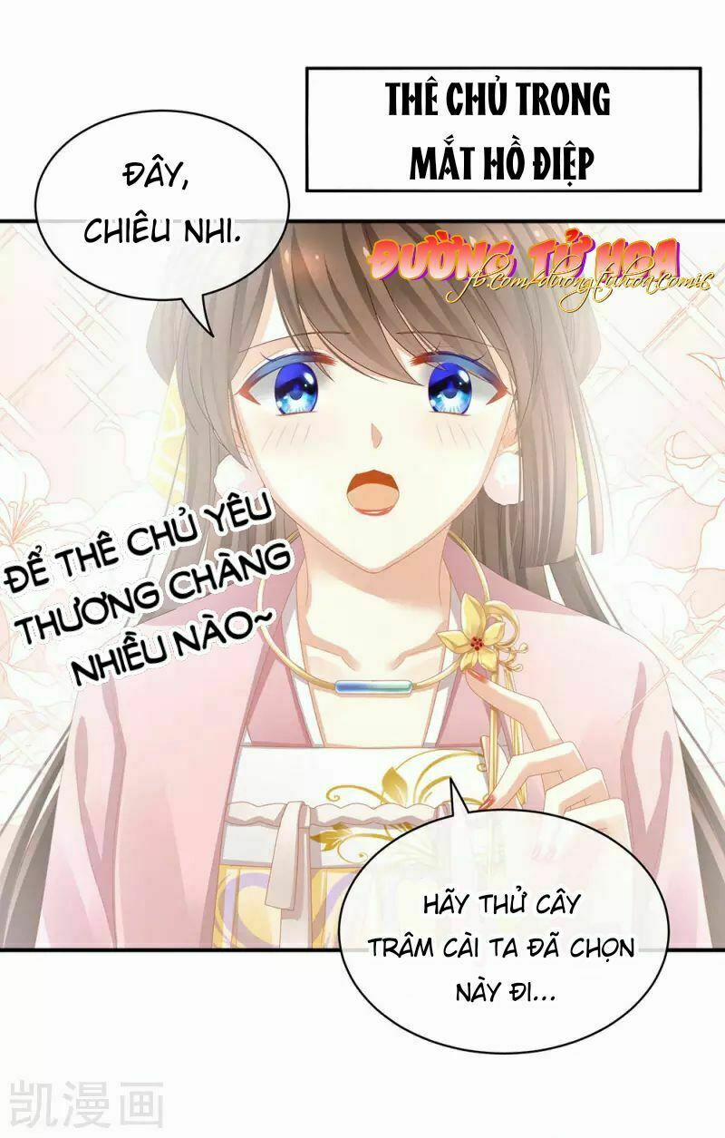 Hậu Cung Của Nữ Đế 61 trang 13