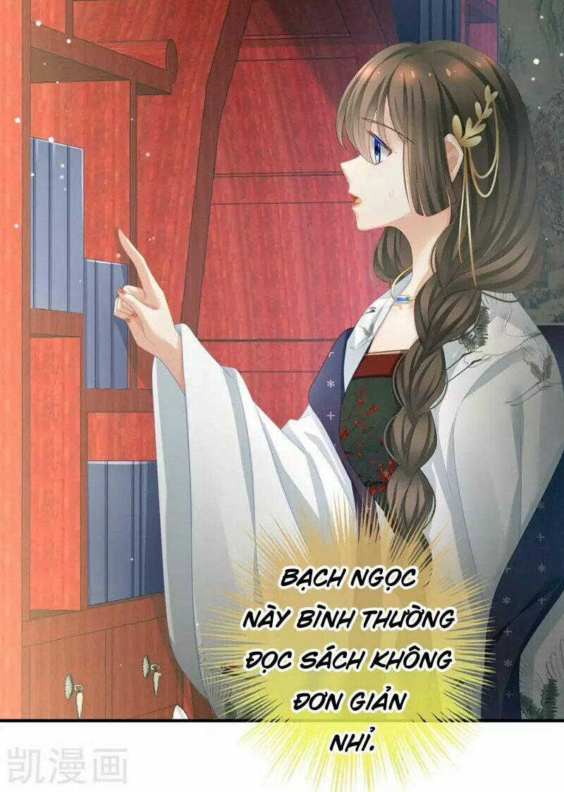 Hậu Cung Của Nữ Đế 71 trang 8