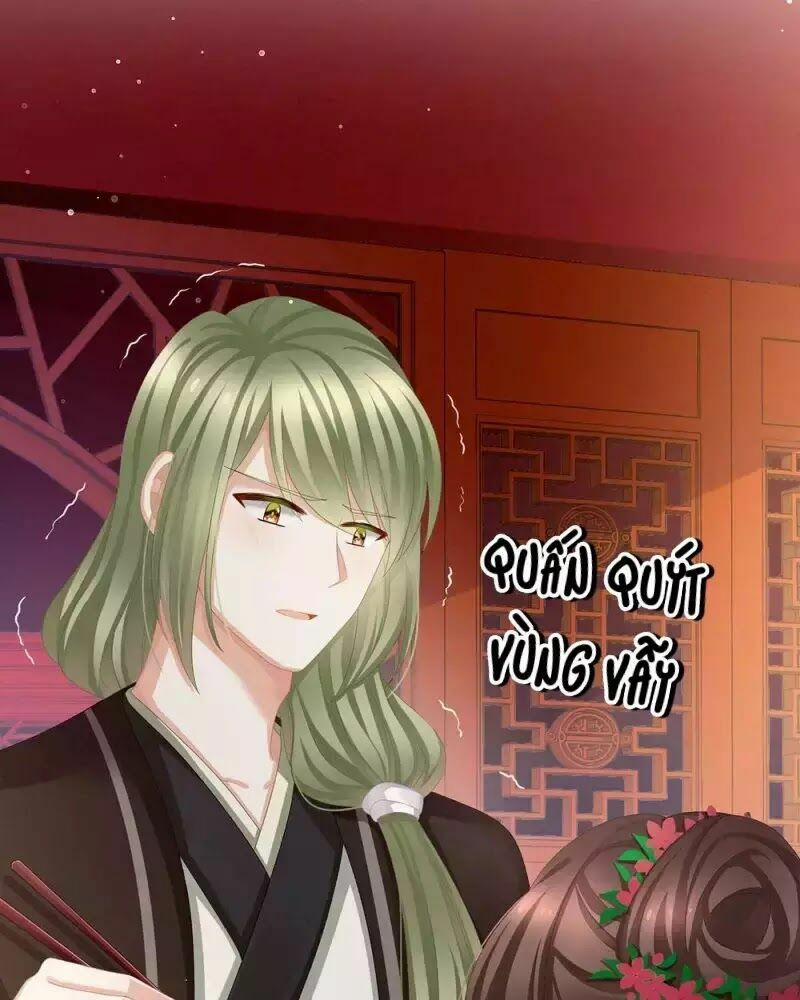 Hậu Cung Của Nữ Đế 74 trang 29