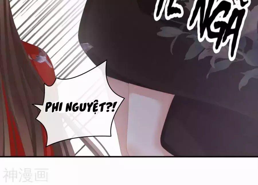 Hậu Cung Của Nữ Đế 79 trang 49