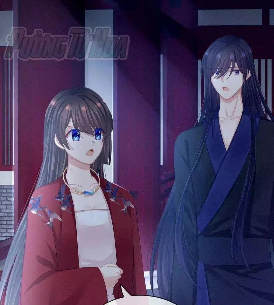 Hậu Cung Của Nữ Đế 82 trang 11