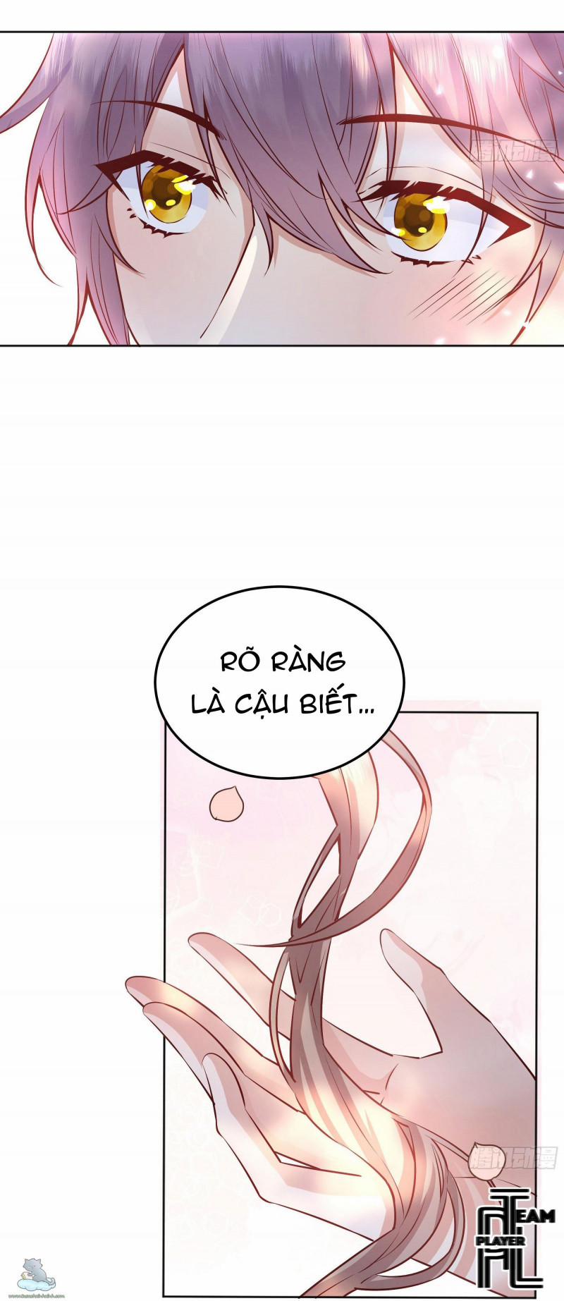 Hậu Cung Của Nữ Phụ Phản Diện 13.5 trang 9