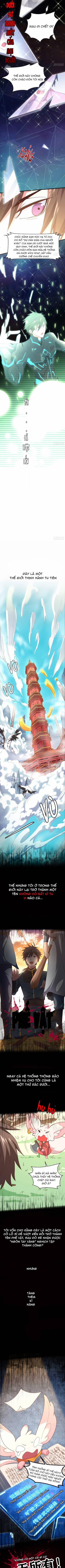 Hậu Cung Của Ta Dựa Vào Rút Thẻ 0 trang 1