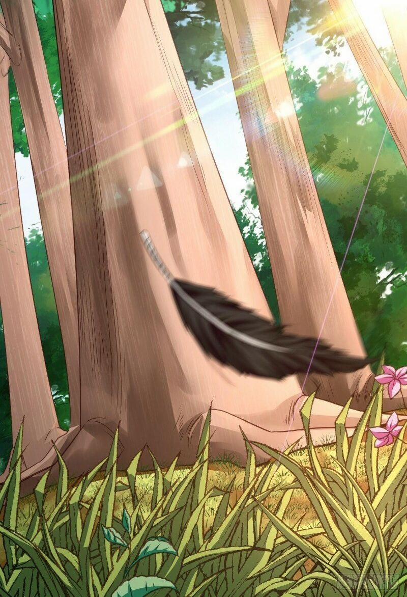 Hậu Cung Của Ta Dựa Vào Rút Thẻ 30 trang 47