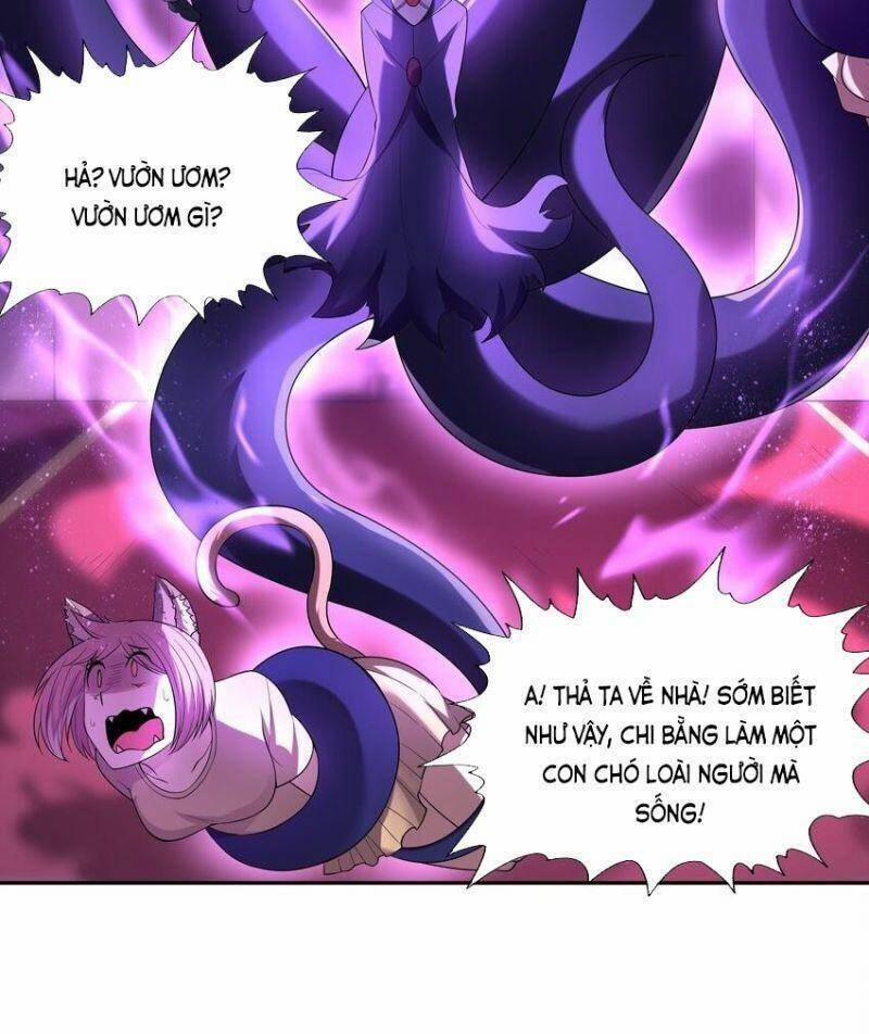 Hậu Cung Của Ta Toàn Là Ma Nữ Phản Diện 46 trang 67