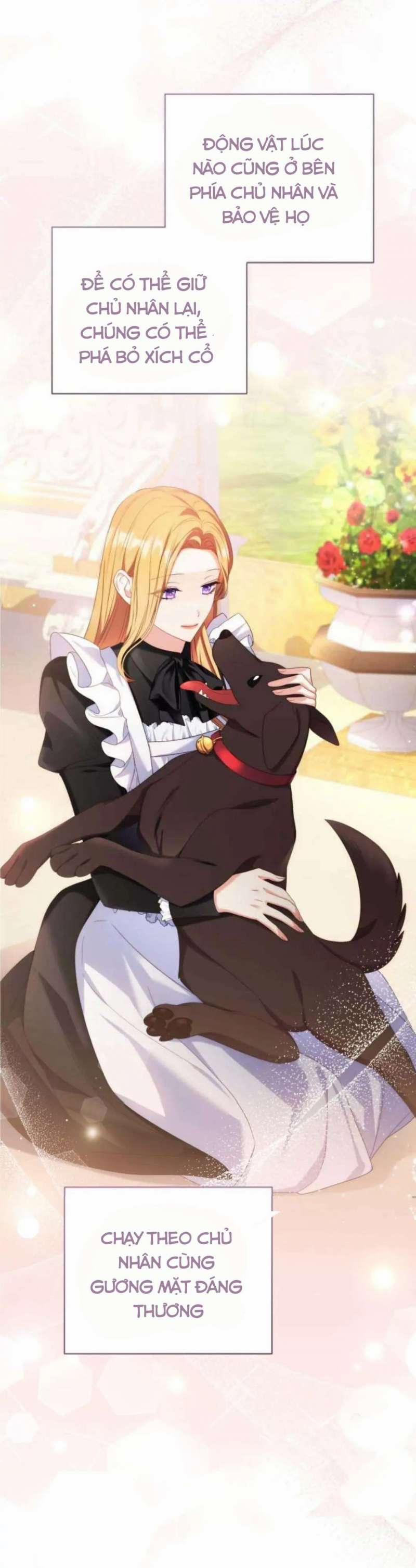 Hầu Gái Trong Trò Chơi Harem Ngược Muốn Nghỉ Việc 18 trang 10