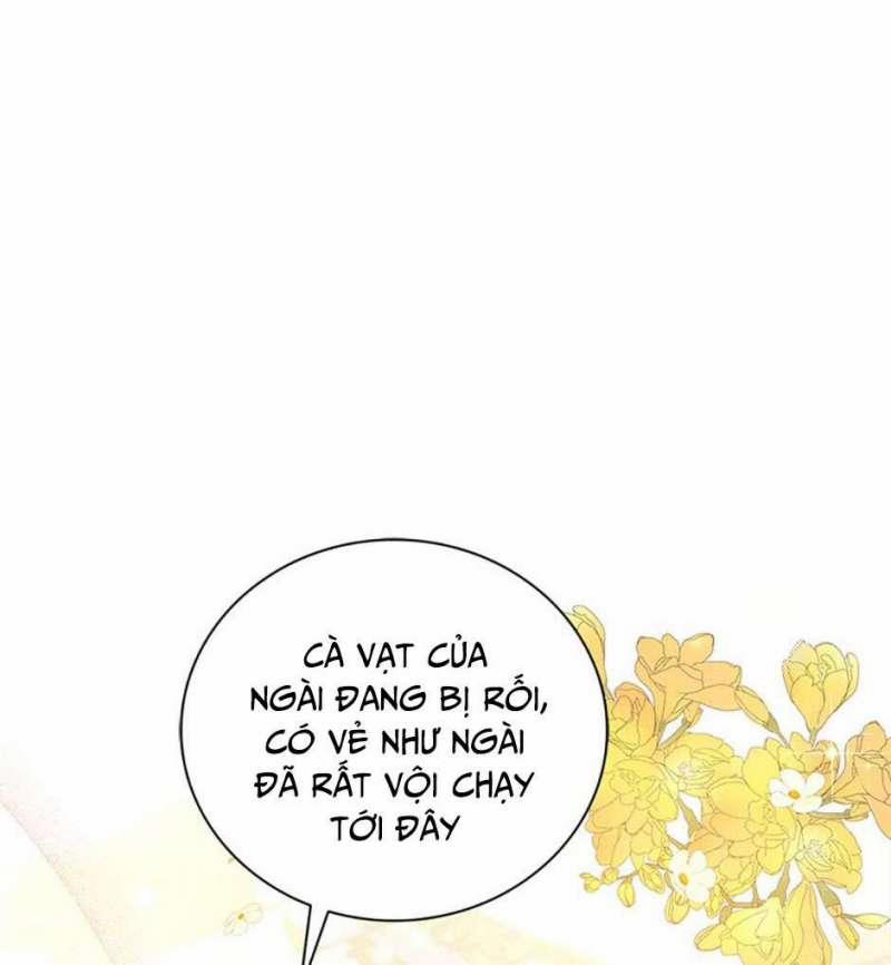 Hầu Gái Trong Trò Chơi Harem Ngược Muốn Nghỉ Việc 5.2 trang 81