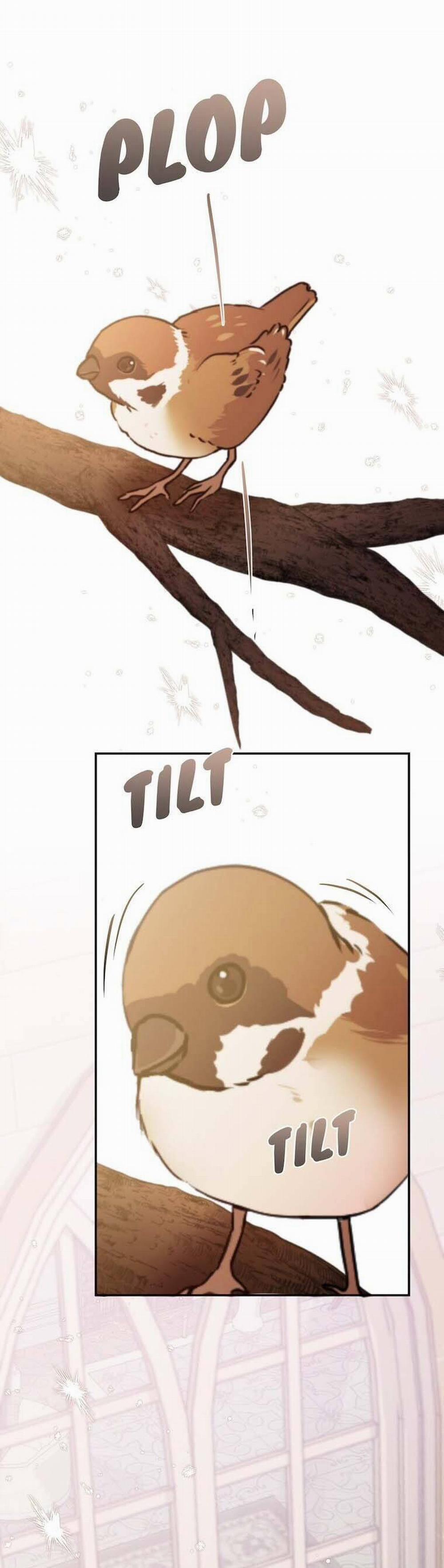 Hầu Nữ Không Còn Thèm Muốn Chủ Nhân Nữa 43 trang 1