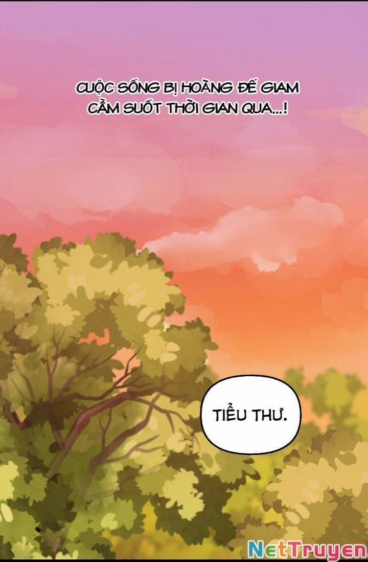 Hãy Bỏ Mặc Tôi 25 trang 20