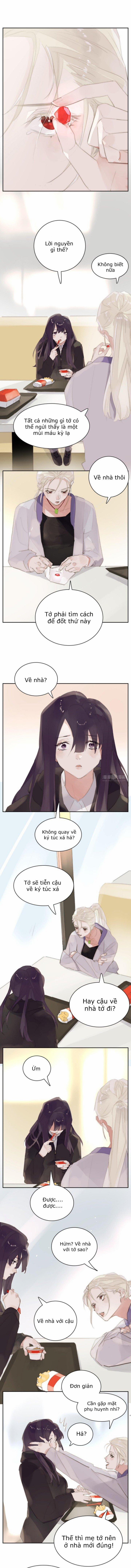 Hãy Chìm Đắm Trong Cuốn Sách Của Tôi 38 trang 1