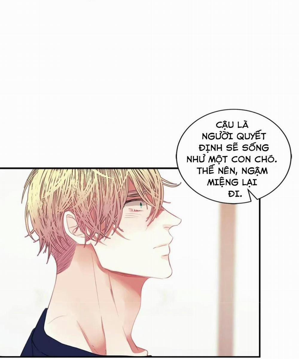 Hãy Chịu Trách Nhiệm Đi! 11 trang 39