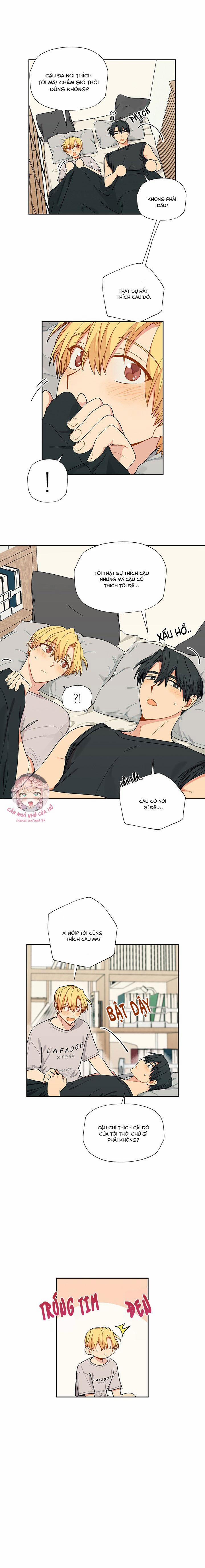 Hãy Cho Em Chút Vị Vanilla! 12 trang 8