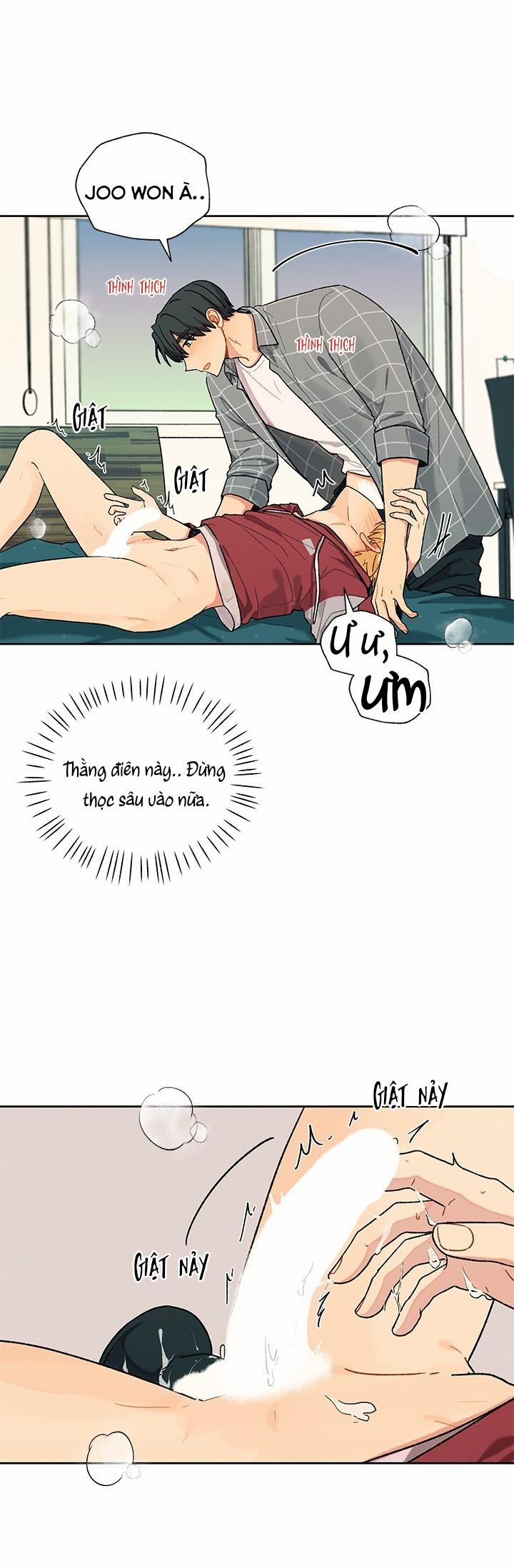 Hãy Cho Em Chút Vị Vanilla! 25 trang 7