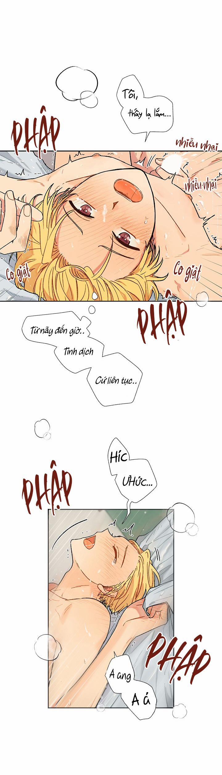 Hãy Cho Em Chút Vị Vanilla! 28 trang 4