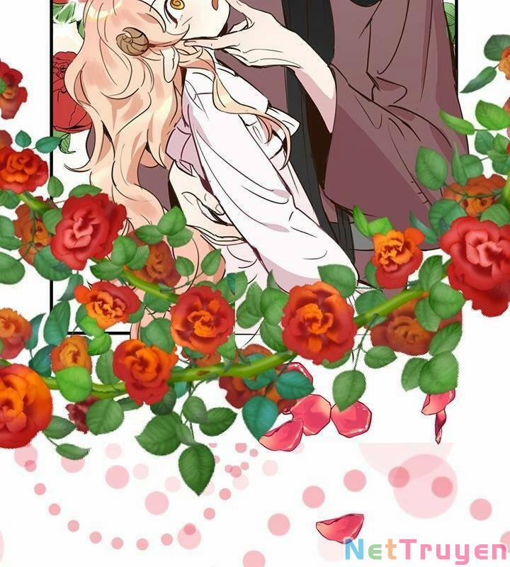 Hãy Dậy Đi Hỡi Chiến Binh 11 trang 17