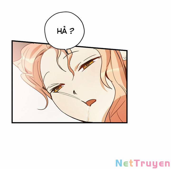 Hãy Dậy Đi Hỡi Chiến Binh 14 trang 5