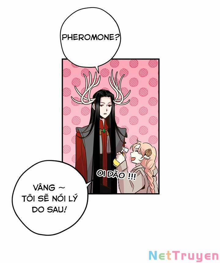 Hãy Dậy Đi Hỡi Chiến Binh 17 trang 23