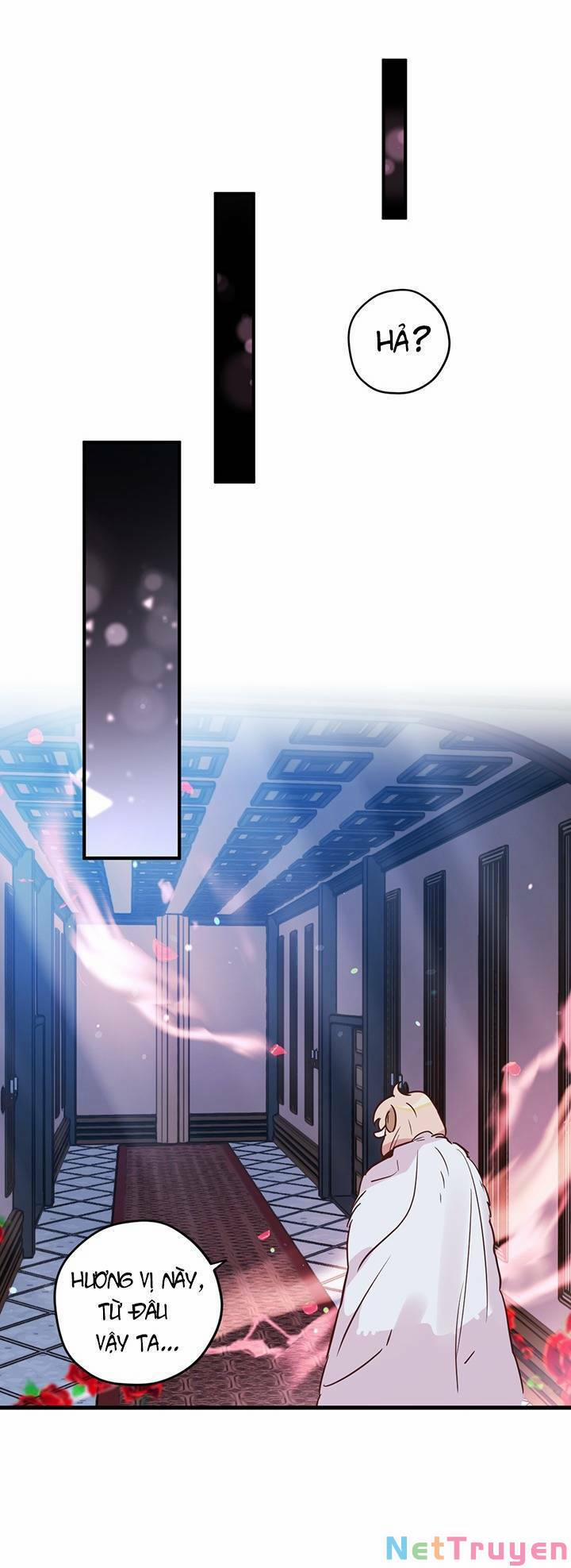 Hãy Dậy Đi Hỡi Chiến Binh 23 trang 31