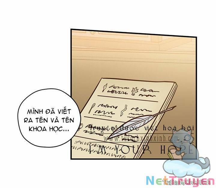 Hãy Dậy Đi Hỡi Chiến Binh 30 trang 28