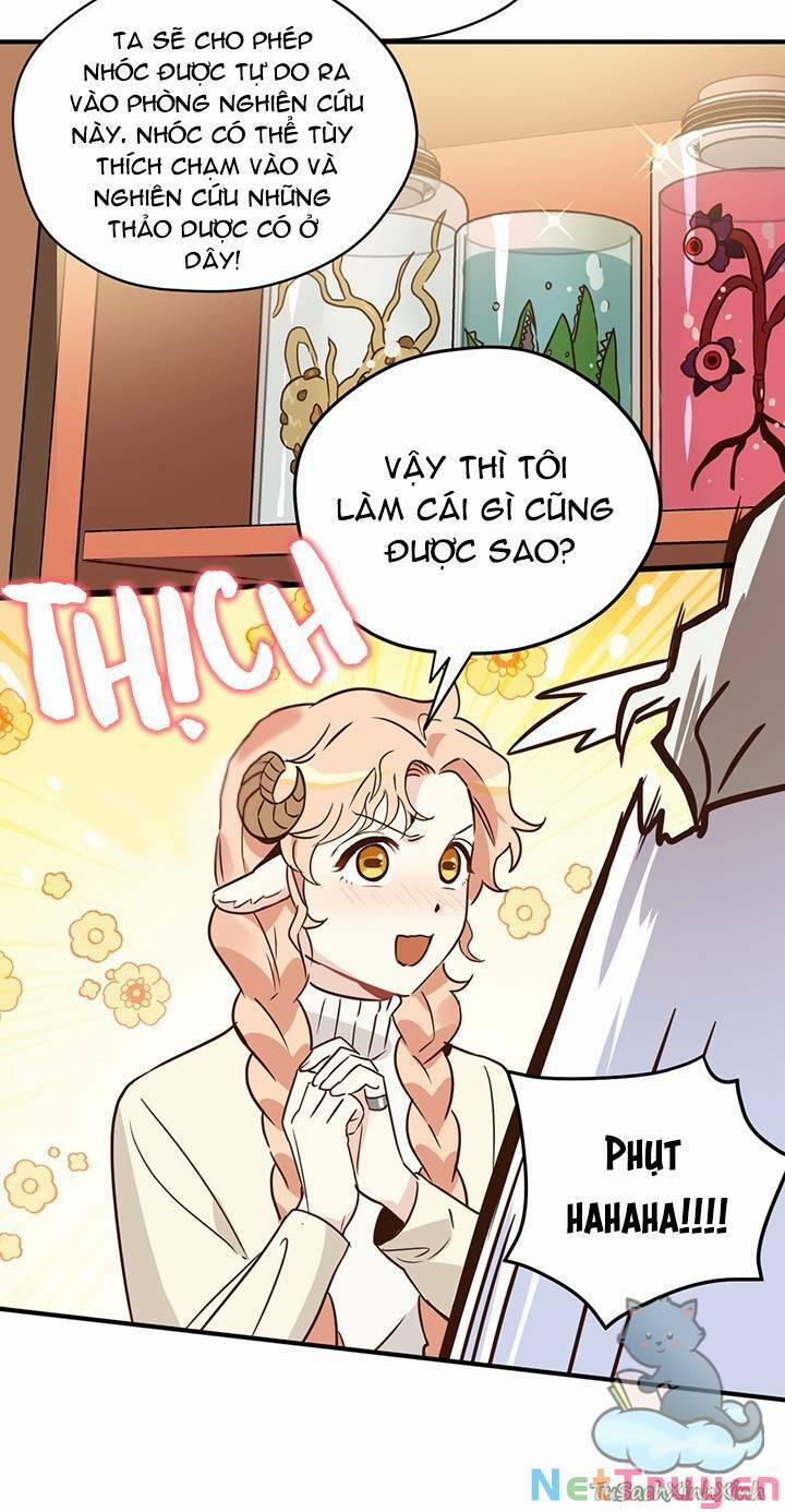 Hãy Dậy Đi Hỡi Chiến Binh 32 trang 6