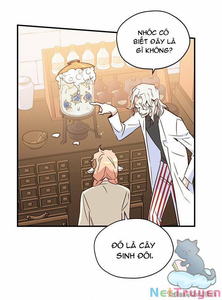 Hãy Dậy Đi Hỡi Chiến Binh 32 trang 8