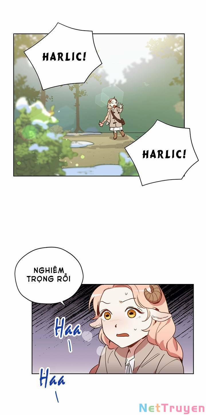 Hãy Dậy Đi Hỡi Chiến Binh 4 trang 0