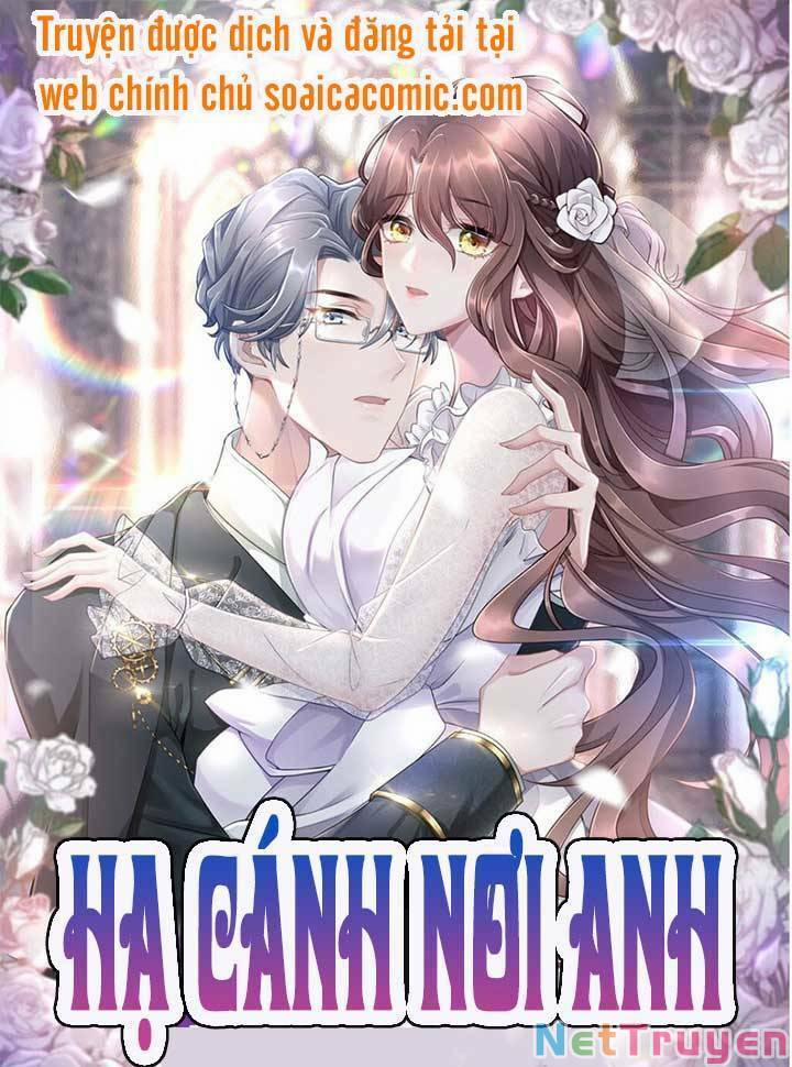 Hãy Để Em Được Hạ Cánh Nơi Anh 5 trang 0