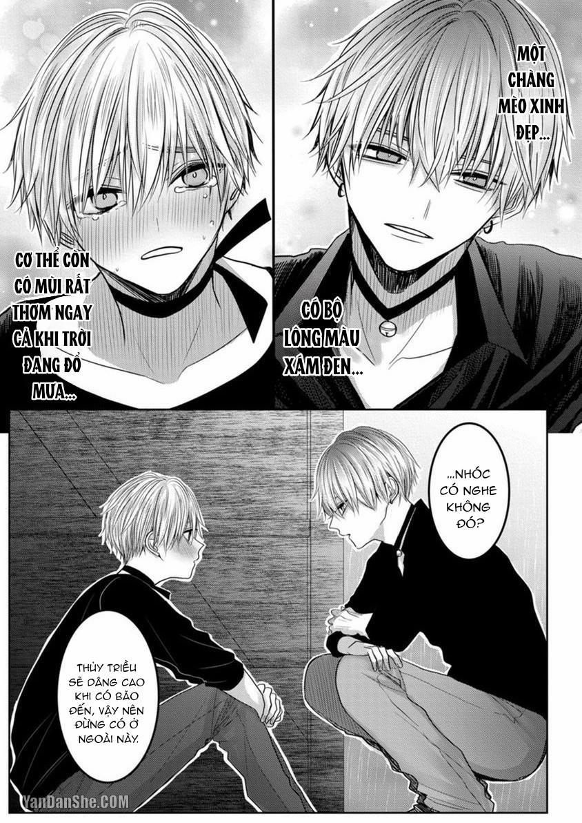 Hãy Đến Và Chiếm Lấy Những Đêm Không Ngủ Của Tôi 1 trang 15