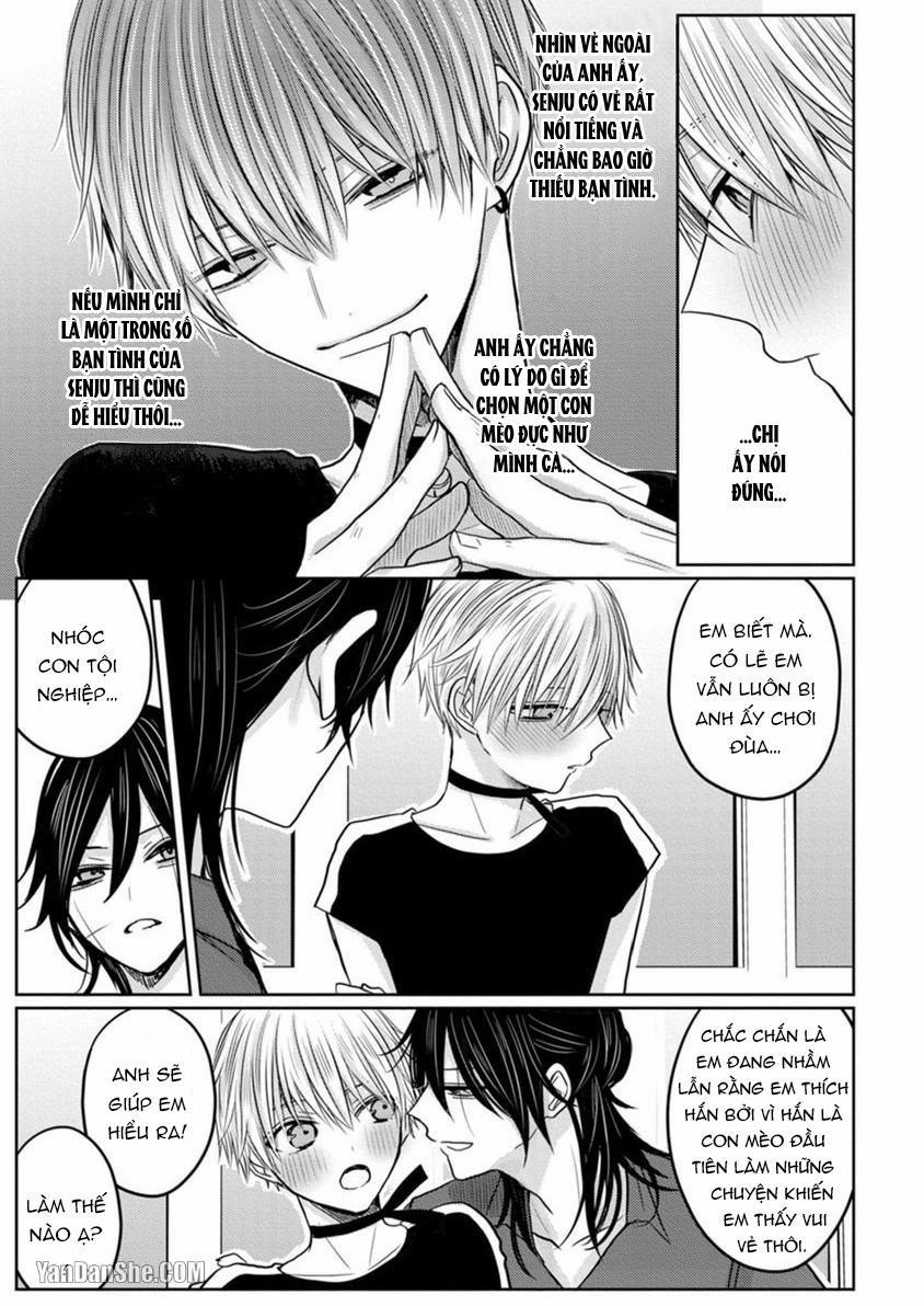 Hãy Đến Và Chiếm Lấy Những Đêm Không Ngủ Của Tôi 4 trang 5