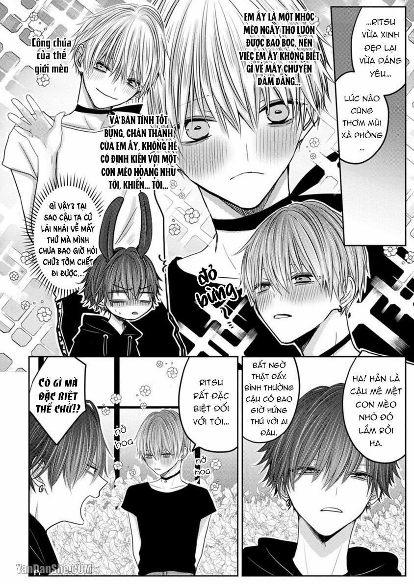 Hãy Đến Và Chiếm Lấy Những Đêm Không Ngủ Của Tôi 4 trang 8