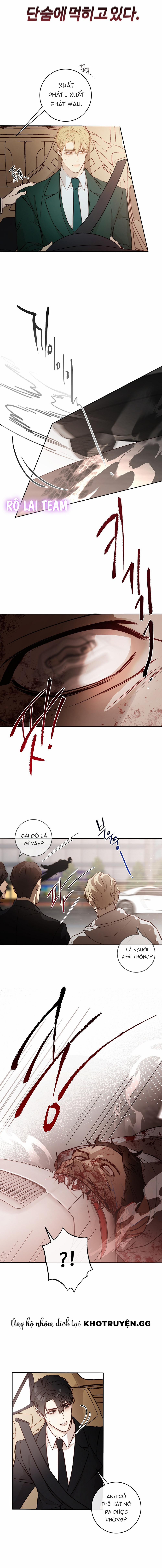 Hãy Gặp Nhau Khi Còn Sống 4 trang 1