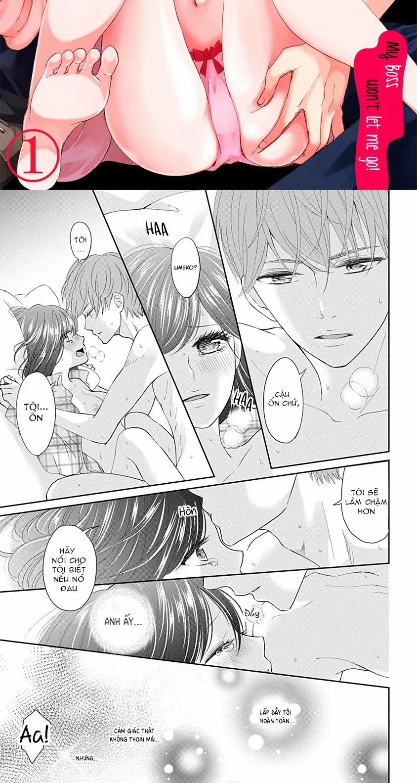 Hãy Làm Cho Tôi Cứng 6.1 trang 1