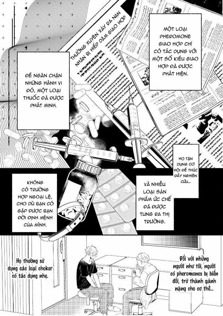 Hãy Ly Hôn Đi, Ngài Alpha 1.1 trang 10