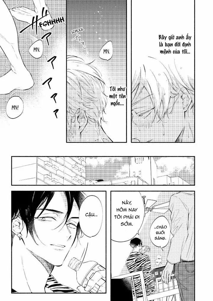 Hãy Ly Hôn Đi, Ngài Alpha 1.1 trang 8