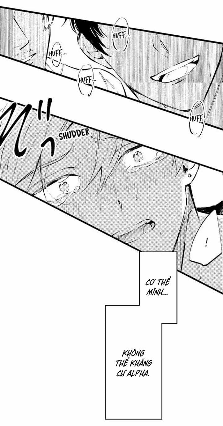 Hãy Ly Hôn Đi, Ngài Alpha 13.2 trang 9