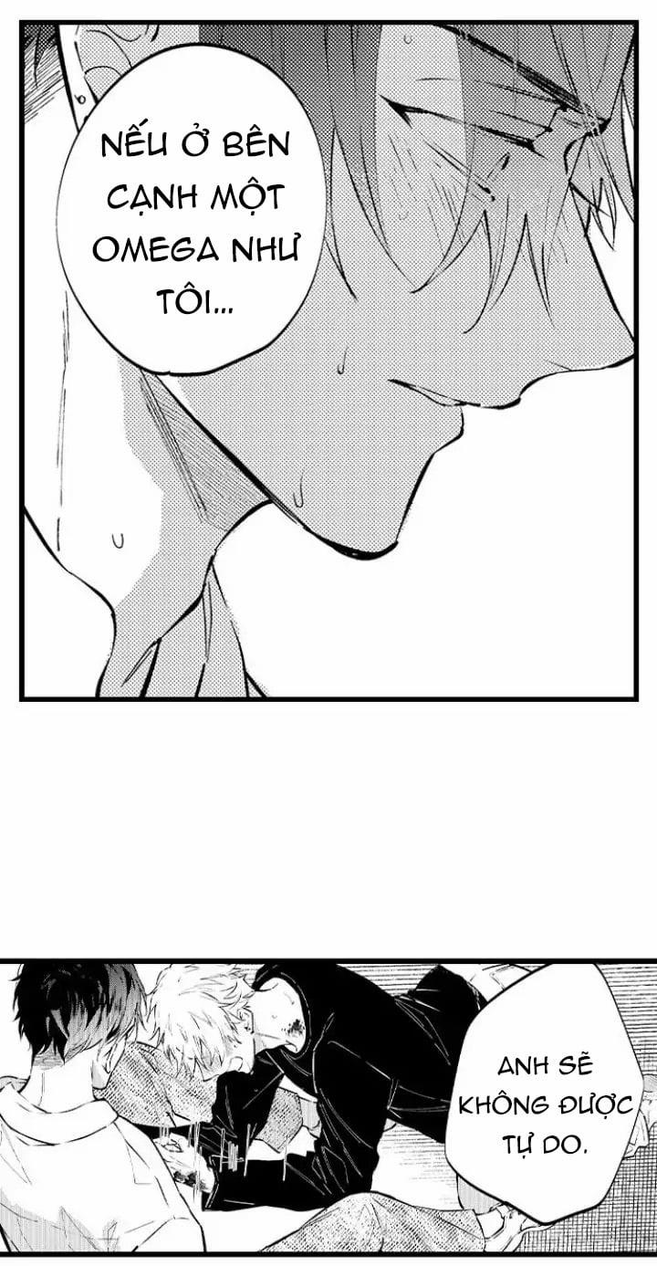 Hãy Ly Hôn Đi, Ngài Alpha 15.1 trang 2