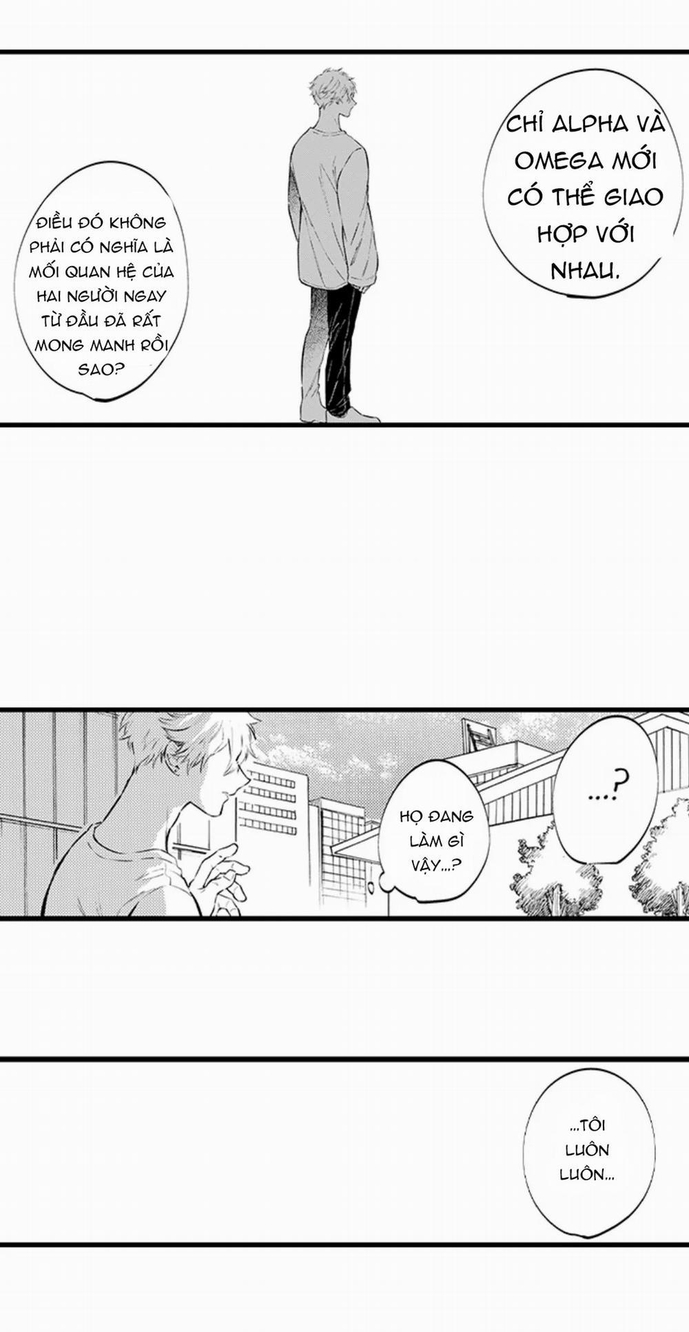 Hãy Ly Hôn Đi, Ngài Alpha 31.1 trang 10