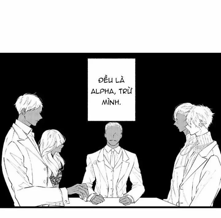 Hãy Ly Hôn Đi, Ngài Alpha 6.2 trang 10