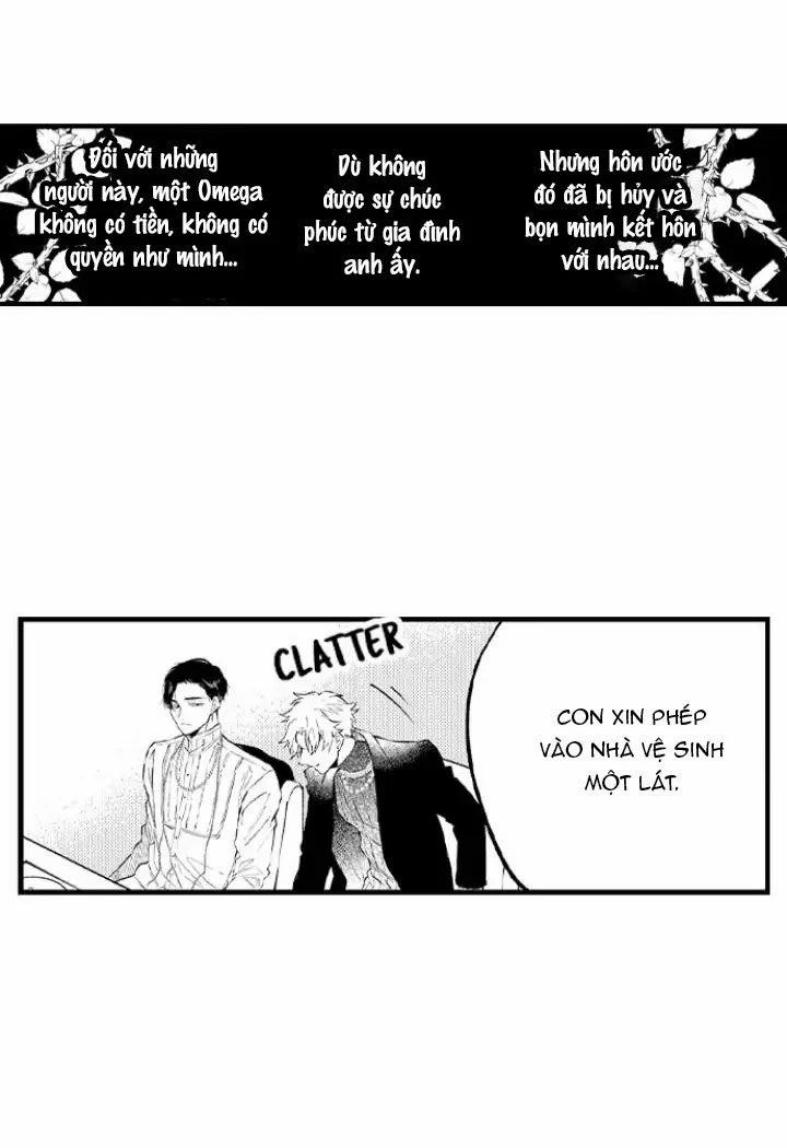 Hãy Ly Hôn Đi, Ngài Alpha 6.2 trang 15