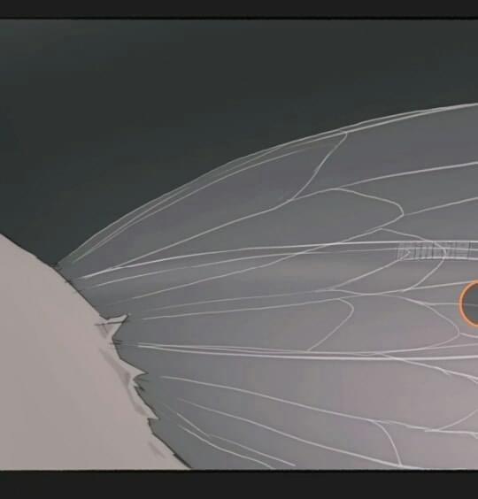 Hãy Ngủ Cùng Ta 2 trang 2