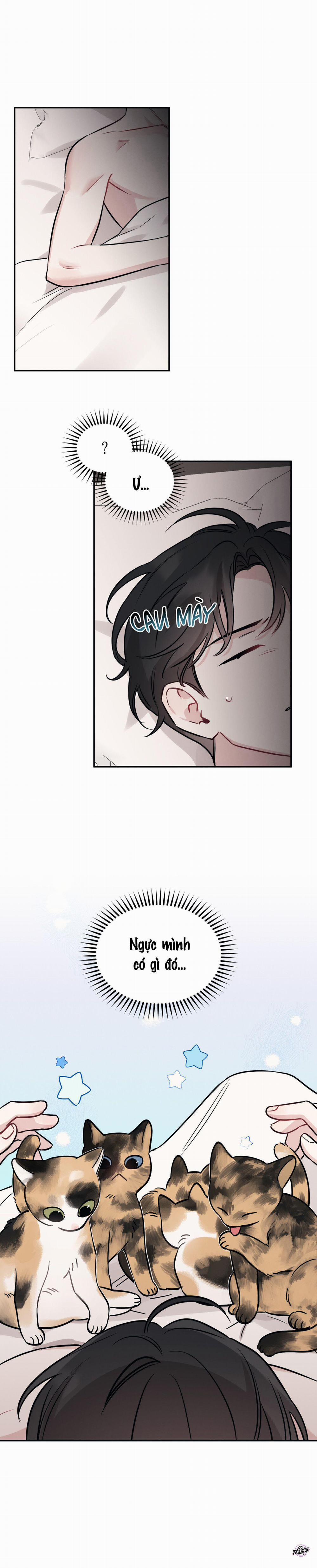 Hãy Tốt Với Sự Tồi Tệ Của Tôi 85 trang 0