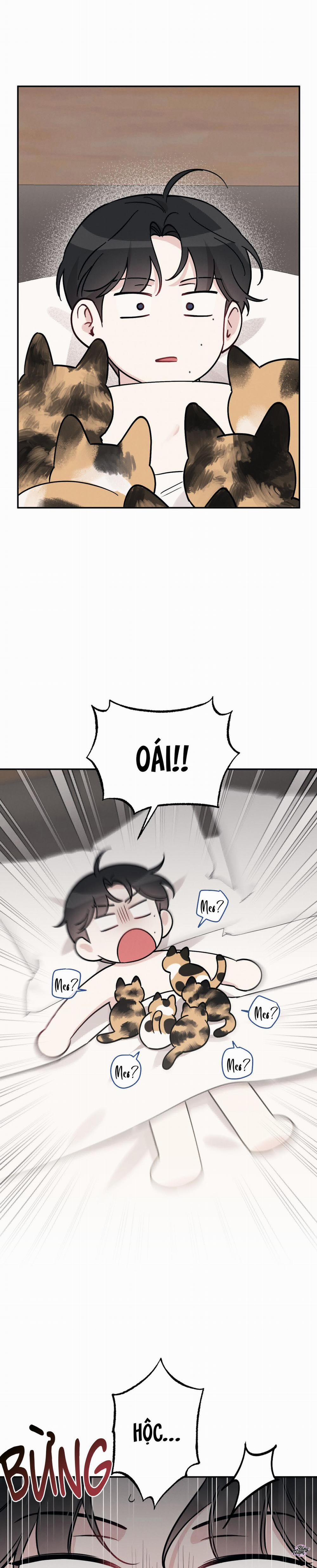 Hãy Tốt Với Sự Tồi Tệ Của Tôi 85 trang 1