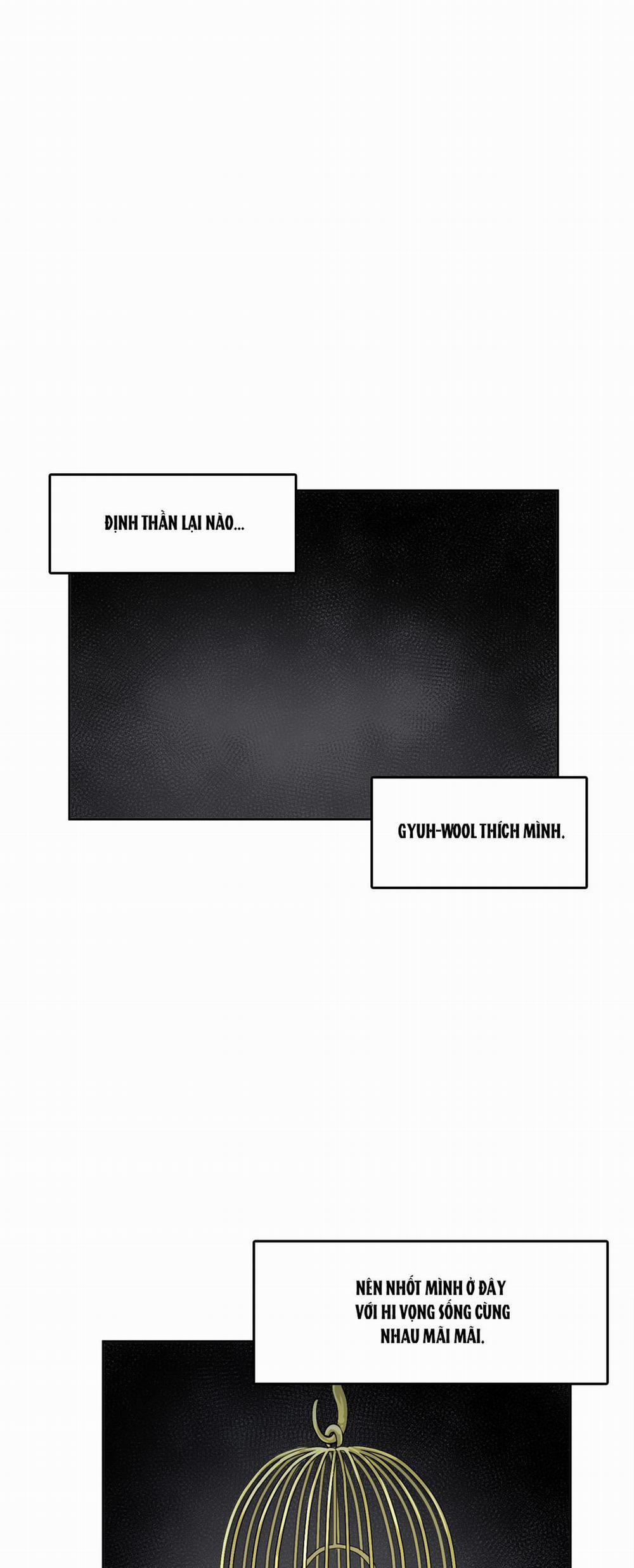 Hãy Vâng Lời Anh 10 trang 24