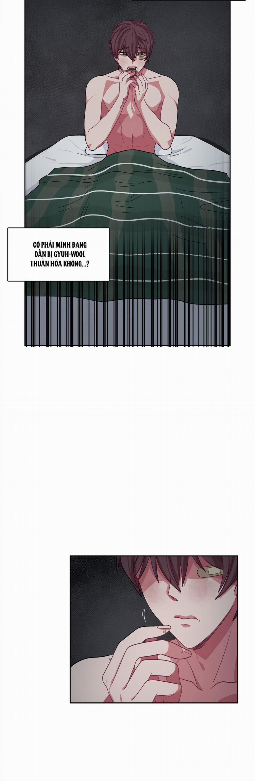 Hãy Vâng Lời Anh 12 trang 19