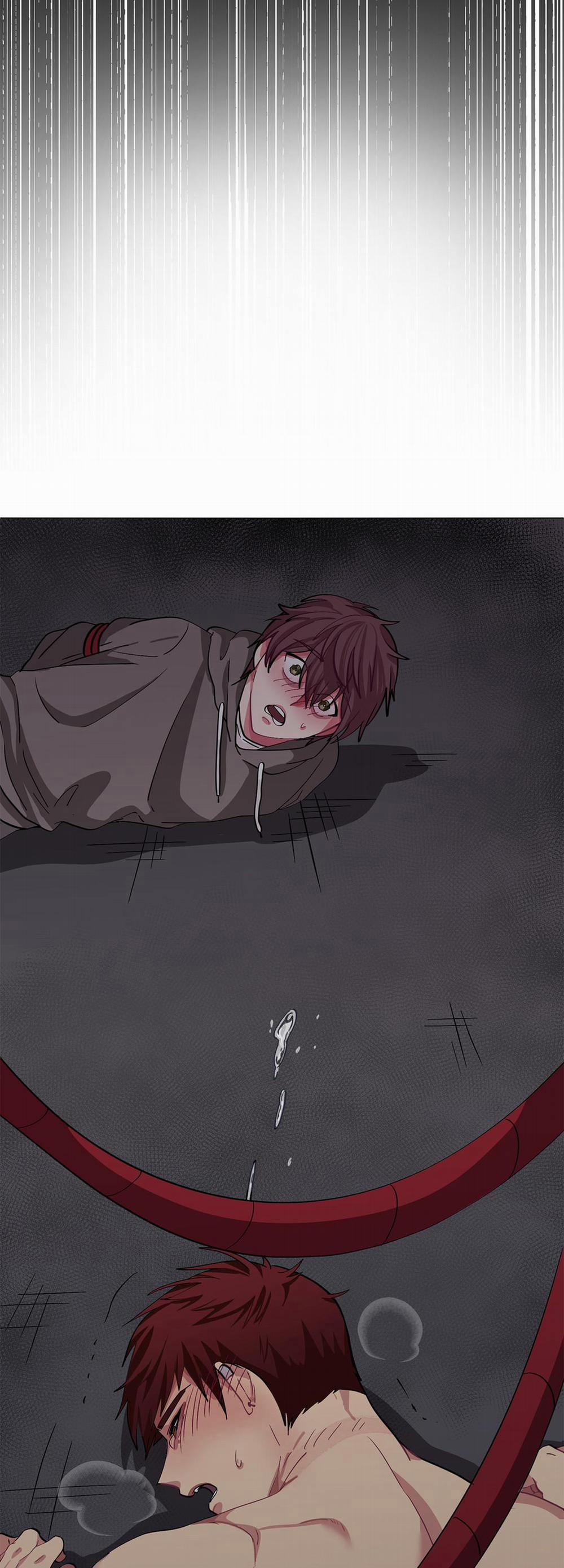 Hãy Vâng Lời Anh 6 trang 4