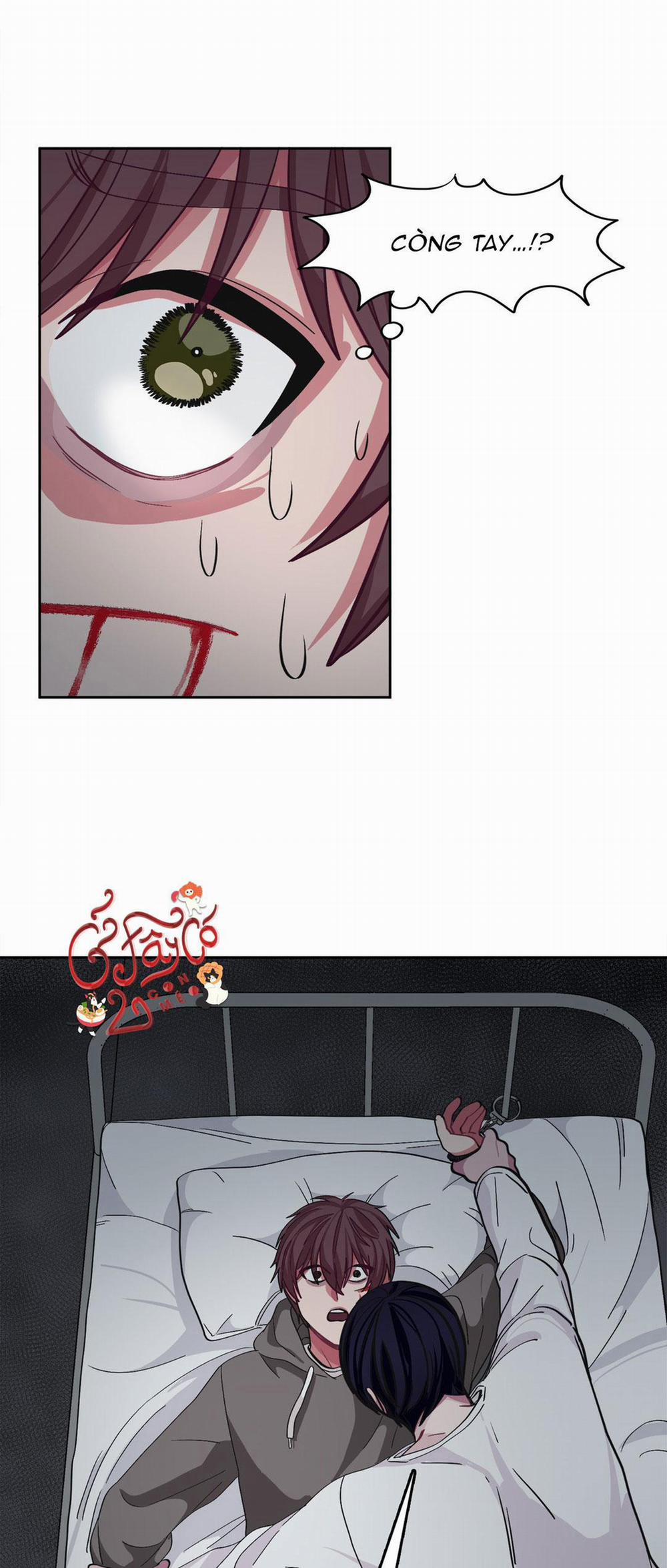 Hãy Vâng Lời Anh 8 trang 12