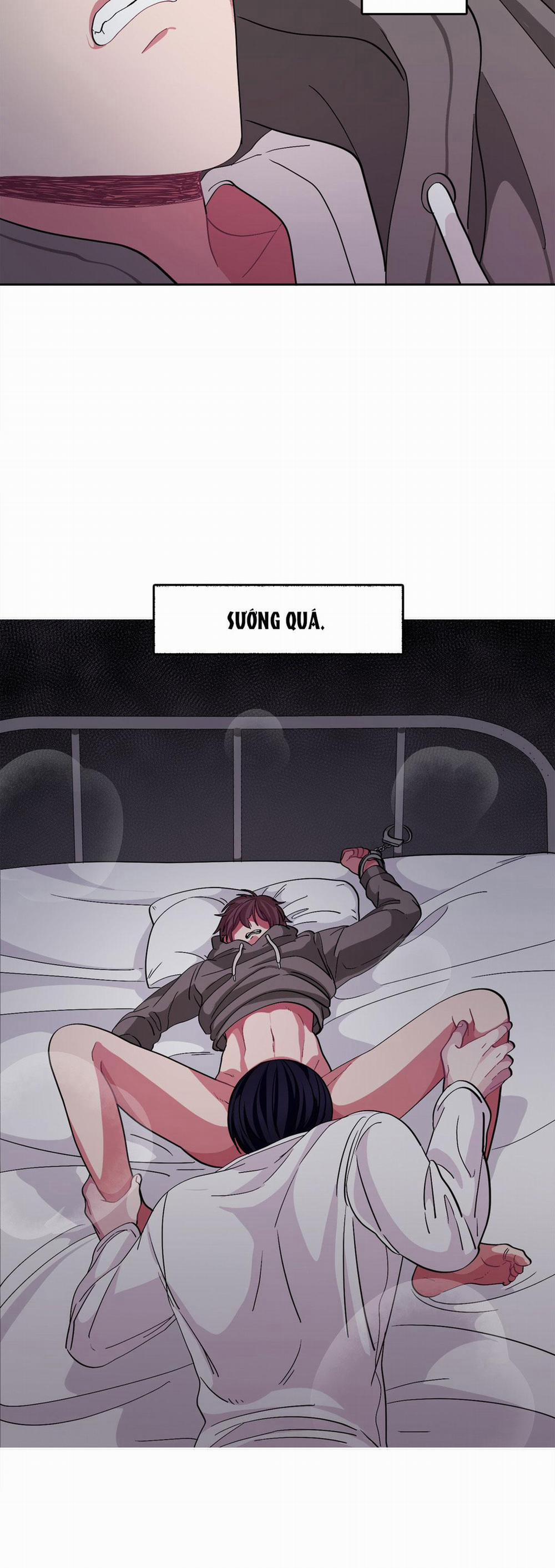 Hãy Vâng Lời Anh 8 trang 23