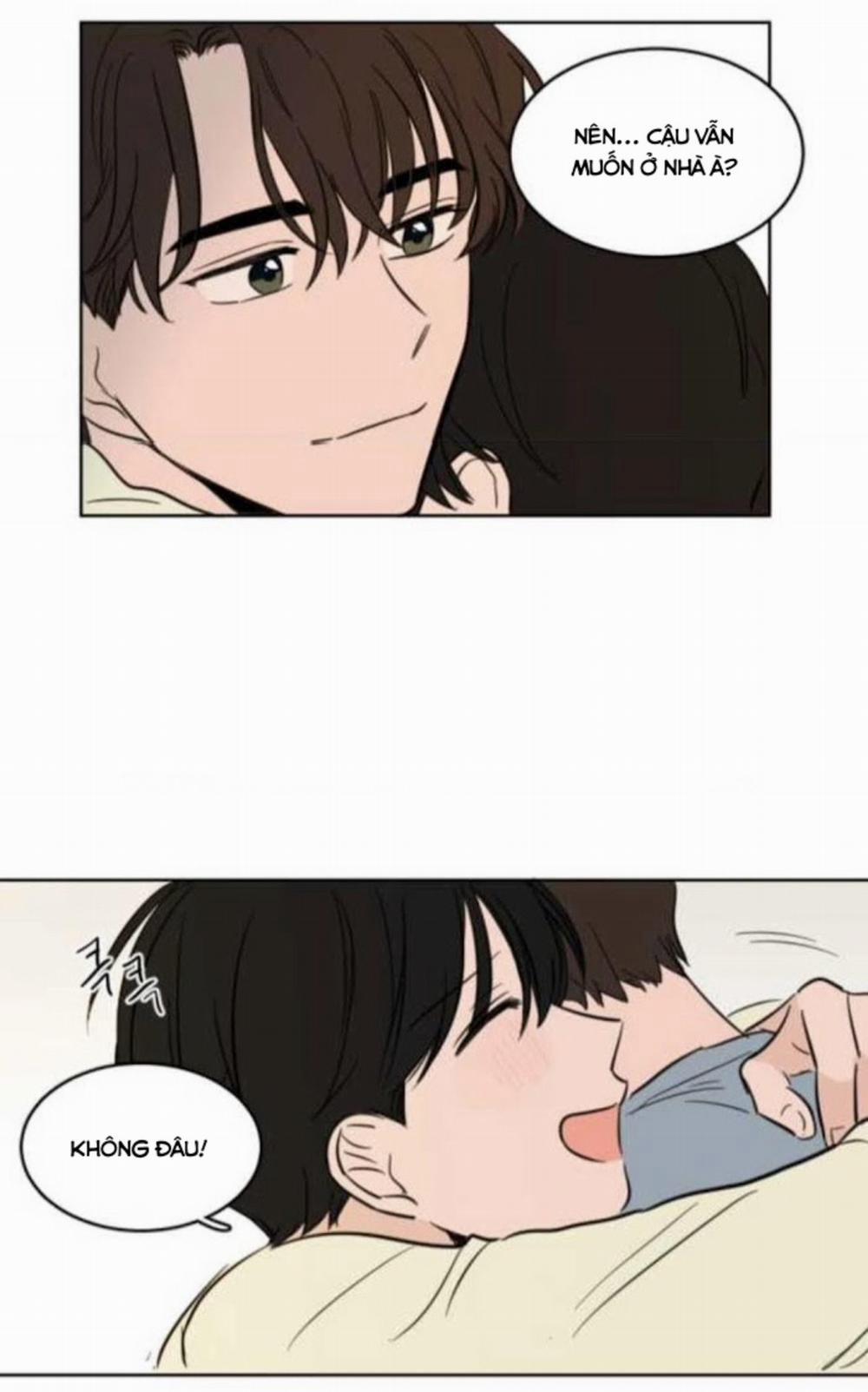 HCTTN 13 trang 29